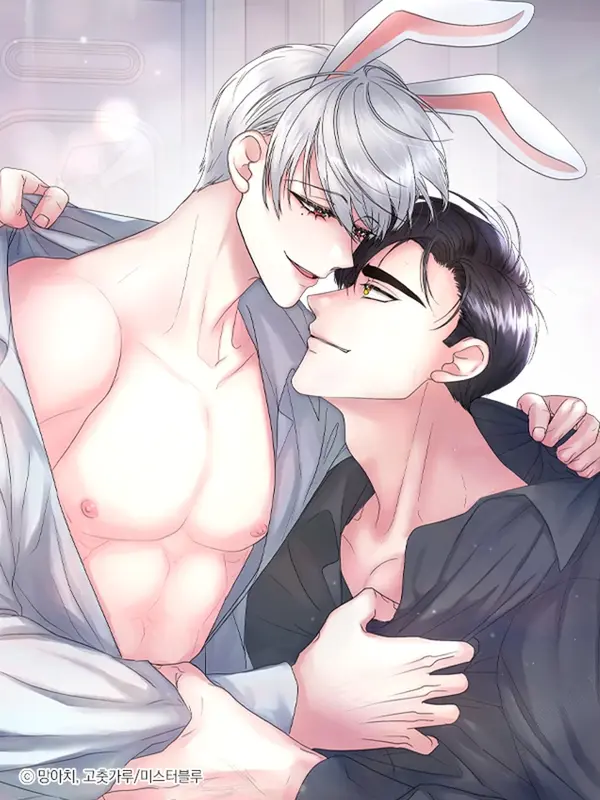 주문 (안)하신 토끼입니다